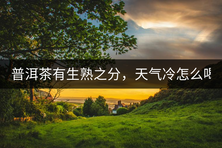 普洱茶有生熟之分，天氣冷怎么喝？