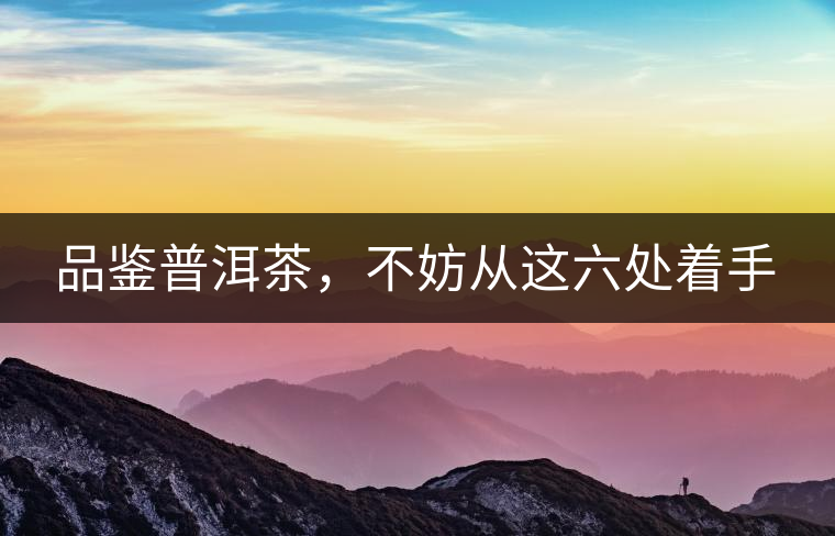 品鑒普洱茶，不妨從這六處著手