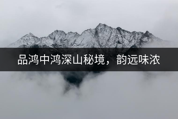 品鴻中鴻深山秘境，韻遠(yuǎn)味濃