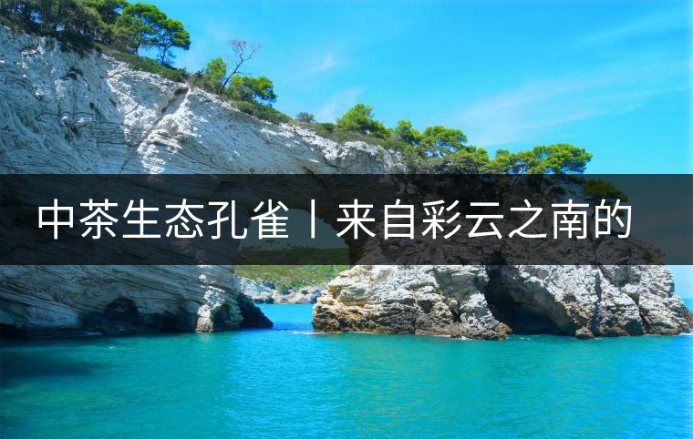 中茶生態(tài)孔雀丨來自彩云之南的味道 中茶生態(tài)孔雀丨來自彩云之南的味道