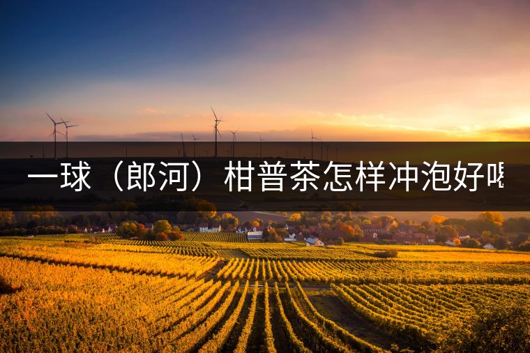 一球（郎河）柑普茶怎樣沖泡好喝？