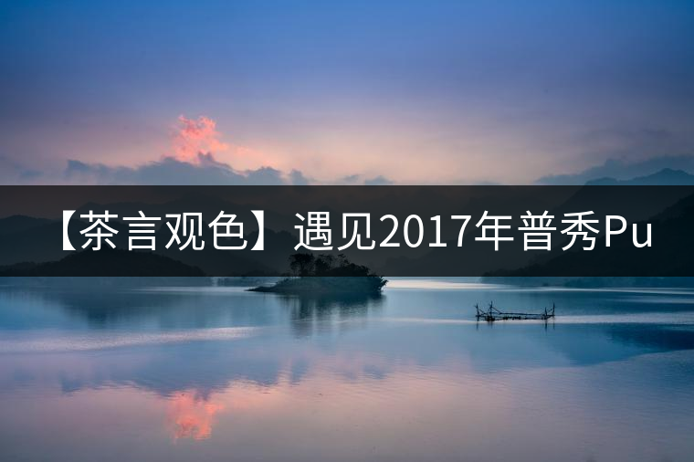 【茶言觀色】遇見2017年普秀Pursue散熟茶
