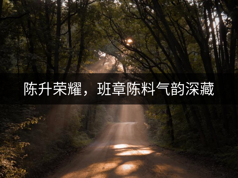 陳升榮耀，班章陳料氣韻深藏