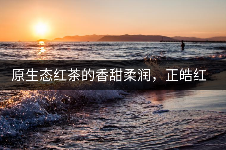 原生態(tài)紅茶的香甜柔潤，正皓紅的魅力無可抵擋！