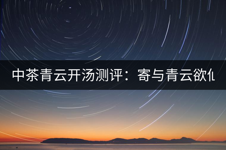 中茶青云開湯測評(píng)：寄與青云欲仙客 一甌相映兩無塵