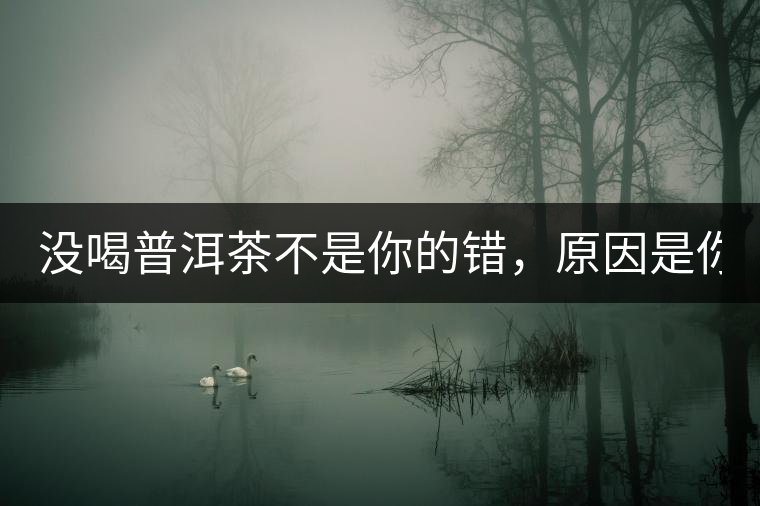 沒(méi)喝普洱茶不是你的錯(cuò)，原因是你還沒(méi)遇到Y(jié)671與Y562