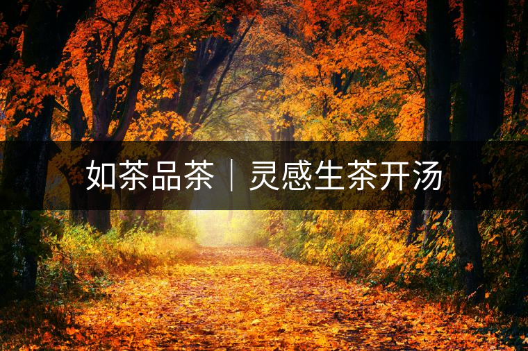 如茶品茶｜靈感生茶開(kāi)湯
