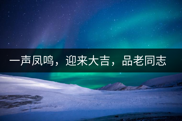 一聲鳳鳴，迎來大吉，品老同志鳳鳴吉至
