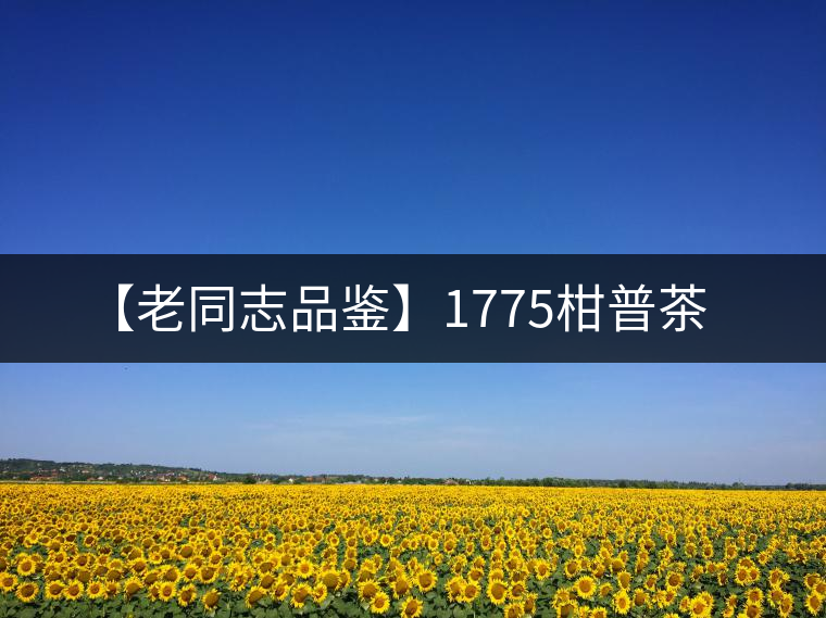 【老同志品鑒】1775柑普茶