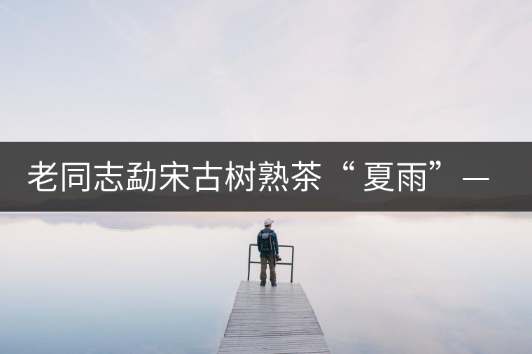 老同志勐宋古樹熟茶“ 夏雨”— 飲茶伴夏，只為您！
