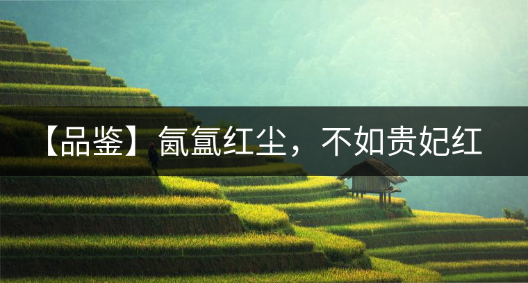 【品鑒】氤氳紅塵，不如貴妃紅一盞