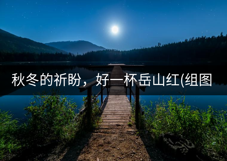 秋冬的祈盼，好一杯岳山紅(組圖)