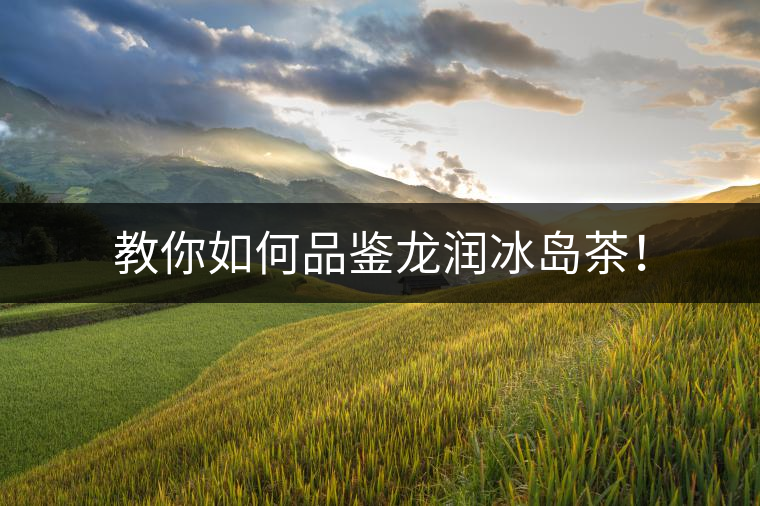 教你如何品鑒龍潤冰島茶! 教你如何品鑒龍潤冰島茶!