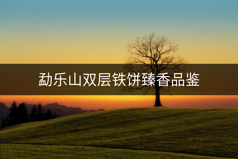 勐樂山雙層鐵餅臻香品鑒
