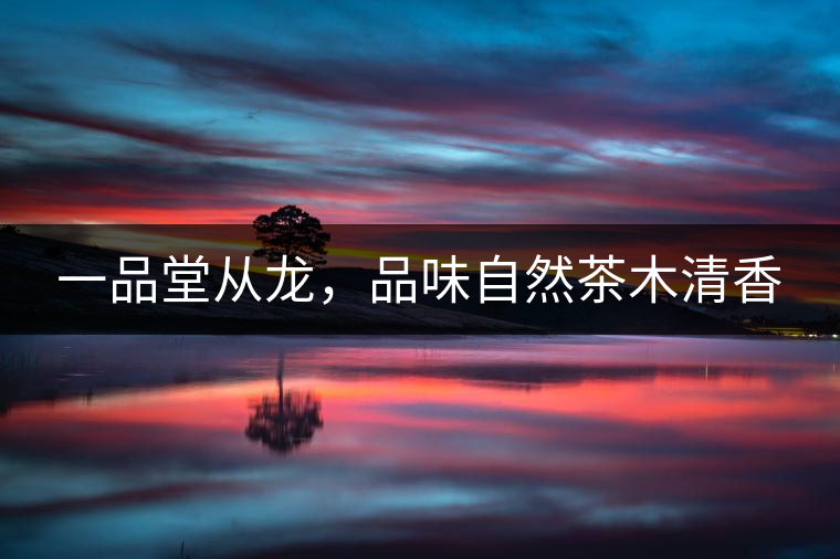 一品堂從龍，品味自然茶木清香