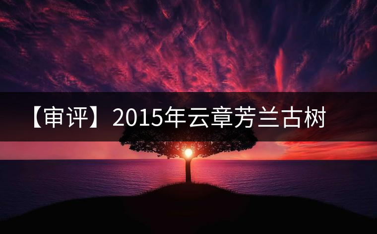 【審評】2015年云章芳蘭古樹純料(生茶) 【審評】2015年云章芳蘭古樹純料(生茶)