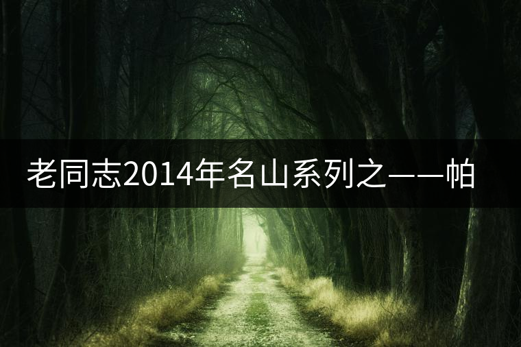 老同志2014年名山系列之——帕沙古樹(shù) 老同志2014年名山系列之——帕沙古樹(shù)