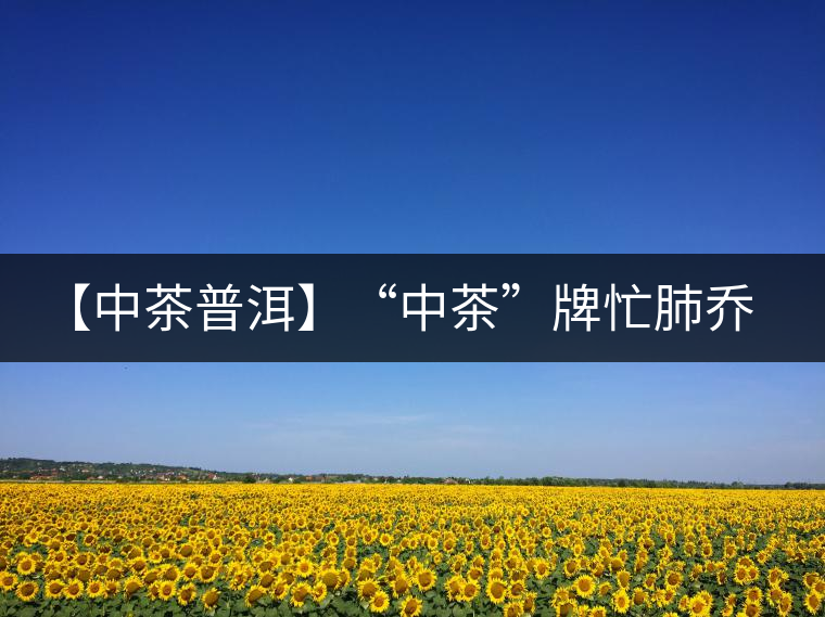 【中茶普洱】“中茶”牌忙肺喬木圓茶品評