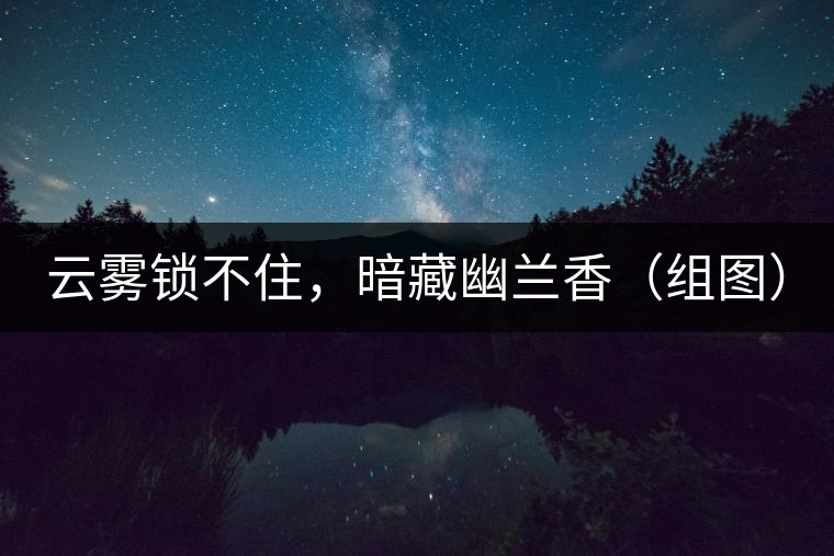 云霧鎖不住，暗藏幽蘭香（組圖）