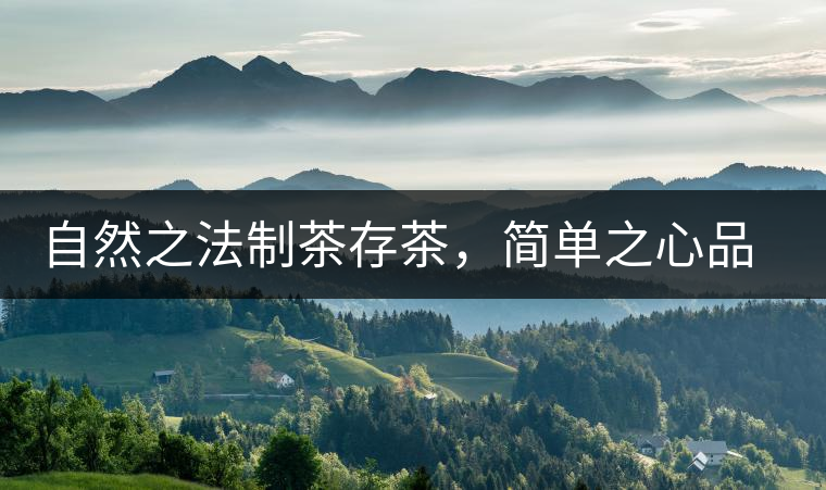自然之法制茶存茶，簡單之心品茶