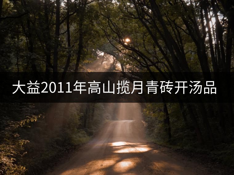 大益2011年高山攬月青磚開湯品鑒