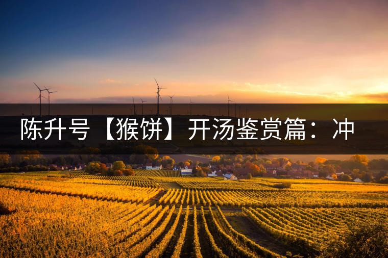 陳升號【猴餅】開湯鑒賞篇：沖泡【猴餅】有哪些需要注意的