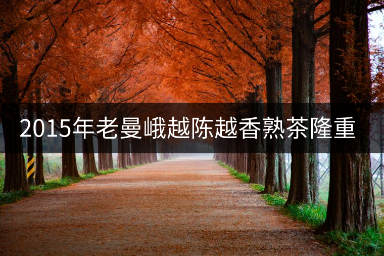 2015年老曼峨越陳越香熟茶隆重上市！