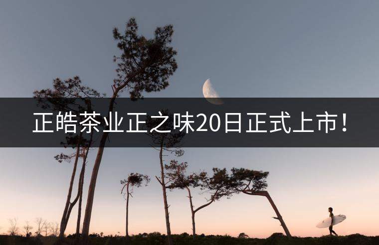 正皓茶業(yè)正之味20日正式上市！