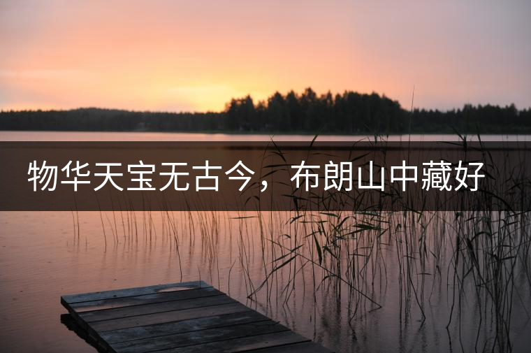 物華天寶無古今，布朗山中藏好茶