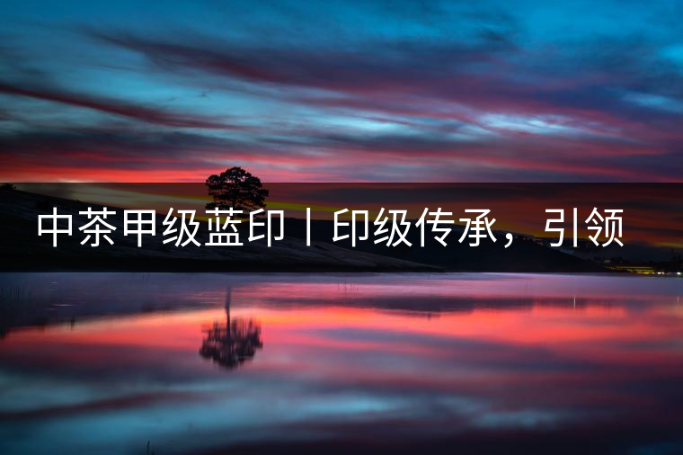 中茶甲級(jí)藍(lán)印丨印級(jí)傳承，引領(lǐng)風(fēng)韻