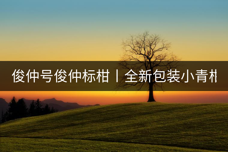俊仲號(hào)俊仲標(biāo)柑丨全新包裝小青柑震撼上市！
