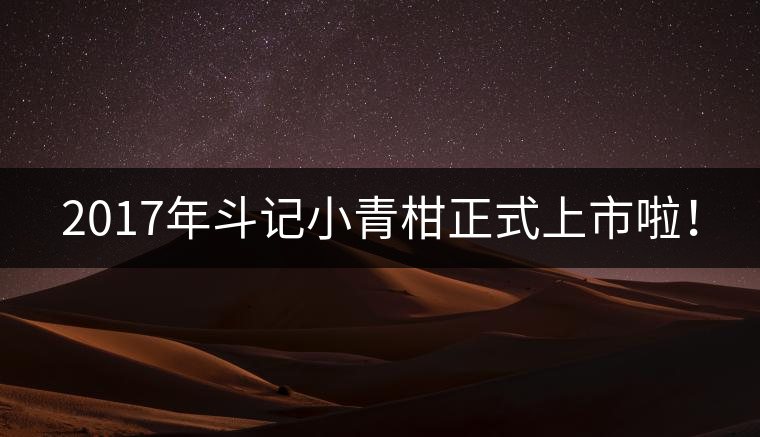 2017年斗記小青柑正式上市啦！