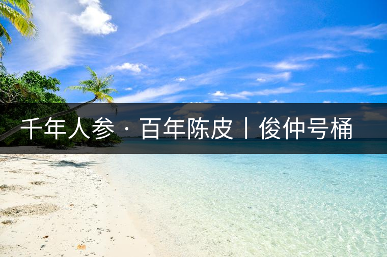 千年人參 · 百年陳皮丨俊仲號桶裝柑普茶豈止于大！