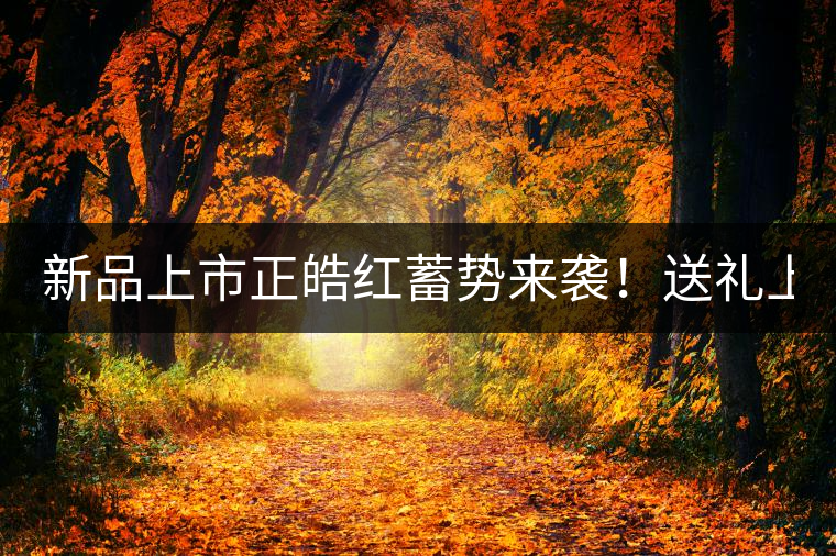 新品上市正皓紅蓄勢來襲！送禮上上之選！