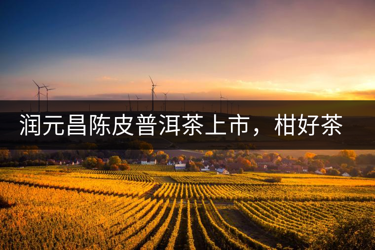 潤元昌陳皮普洱茶上市，柑好茶更好，精品普洱茶