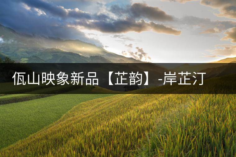 佤山映象新品【芷韻】-岸芷汀蘭，出一杯甘厚普洱