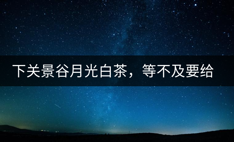 下關(guān)景谷月光白茶，等不及要給你的思念