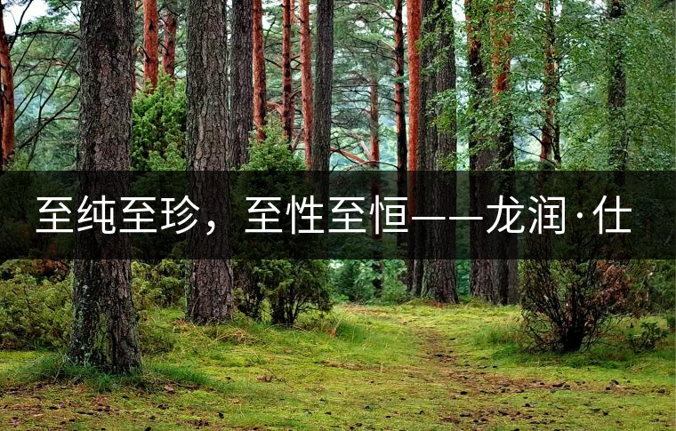 至純至珍，至性至恒——龍潤(rùn)·仕通茶新上市！