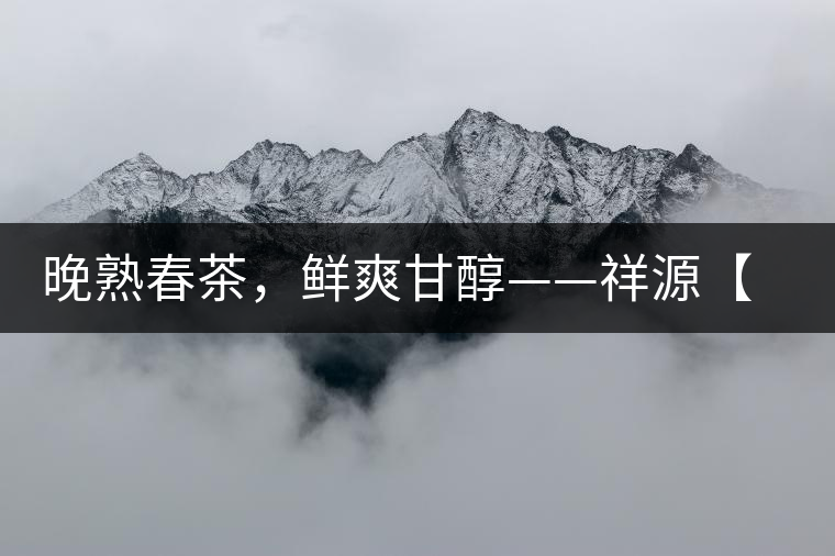 晚熟春茶，鮮爽甘醇——祥源【政和大白】清鮮上市