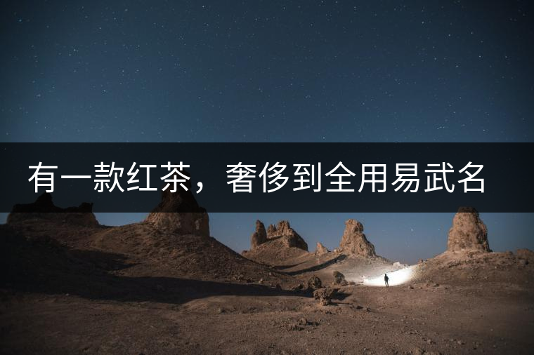 有一款紅茶，奢侈到全用易武名寨古樹茶發(fā)酵！