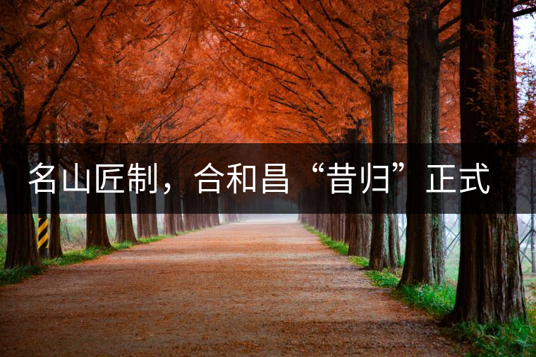 名山匠制，合和昌“昔歸”正式上市