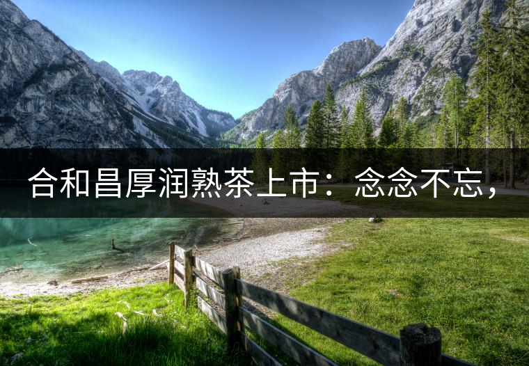 合和昌厚潤熟茶上市：念念不忘，必有回響！