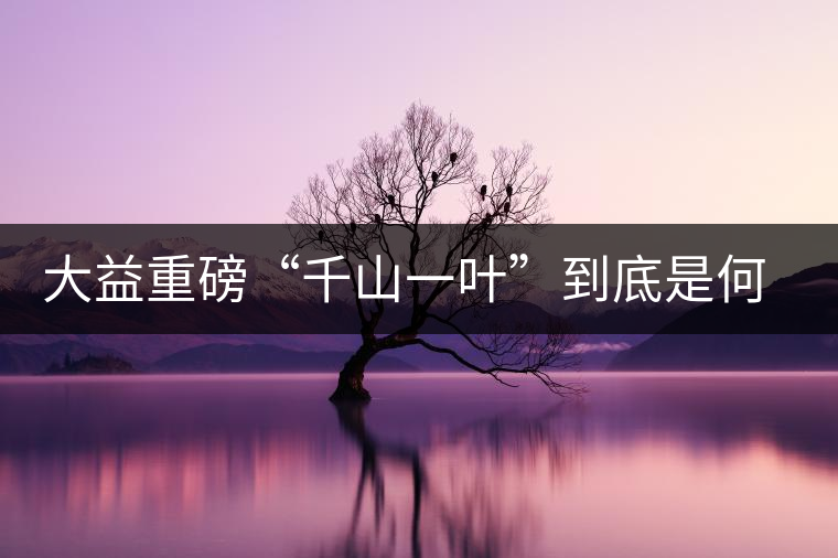 大益重磅“千山一葉”到底是何方神圣？