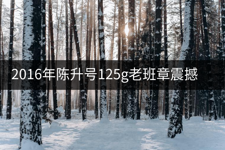 2016年陳升號(hào)125g老班章震撼上市