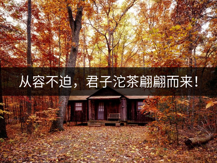 從容不迫，君子沱茶翩翩而來！