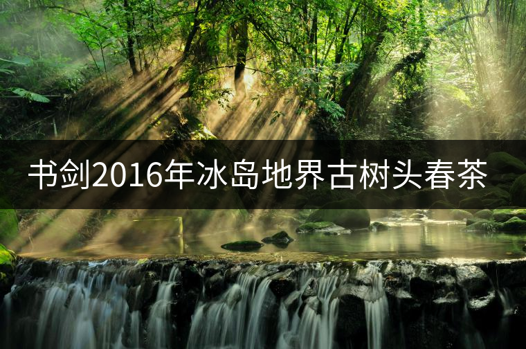 書劍2016年冰島地界古樹頭春茶隆重上市！