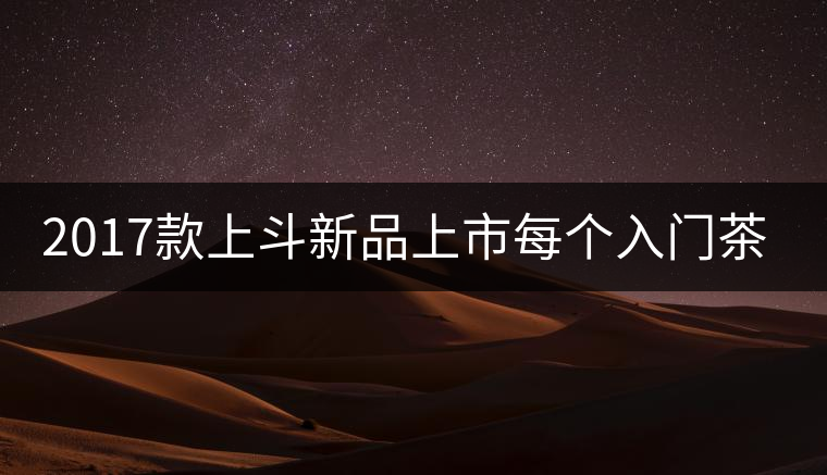 2017款上斗新品上市每個(gè)入門茶人都欠自己一餅上斗！