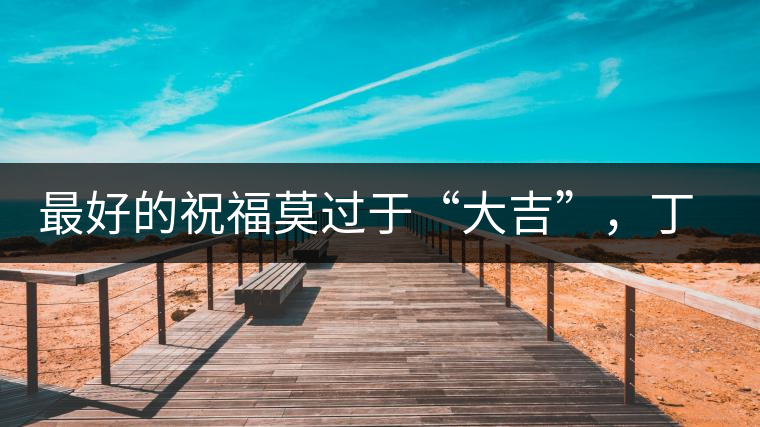 最好的祝福莫過于“大吉”，丁酉年生肖餅震撼來襲！