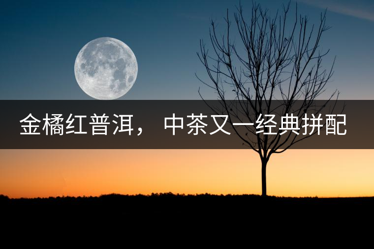 金橘紅普洱， 中茶又一經(jīng)典拼配力作，值得期待！