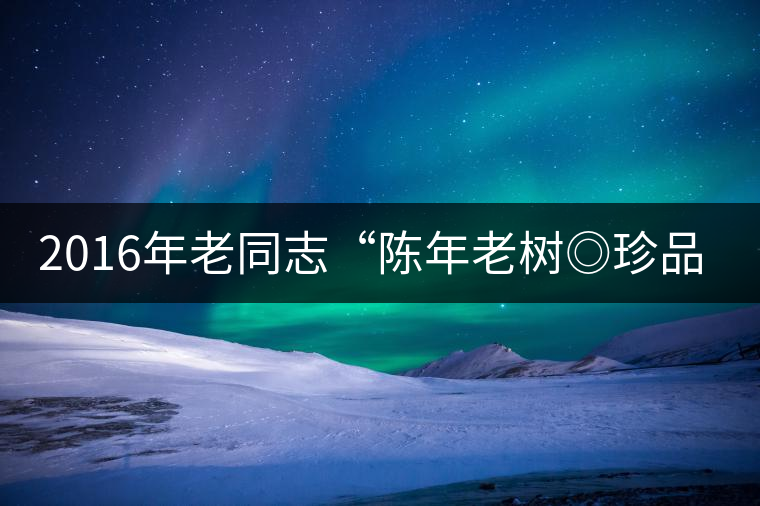2016年老同志“陳年老樹◎珍品普洱”隆重上市！